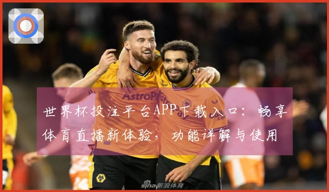 世界杯投注平台APP下载入口:畅享体育直播新体验,功能详解与使用指南