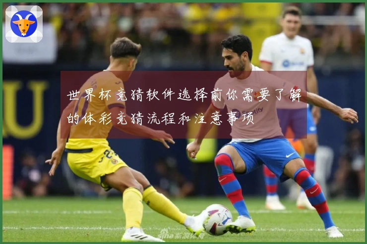 世界杯竞猜软件选择前你需要了解的体彩竞猜流程和注意事项