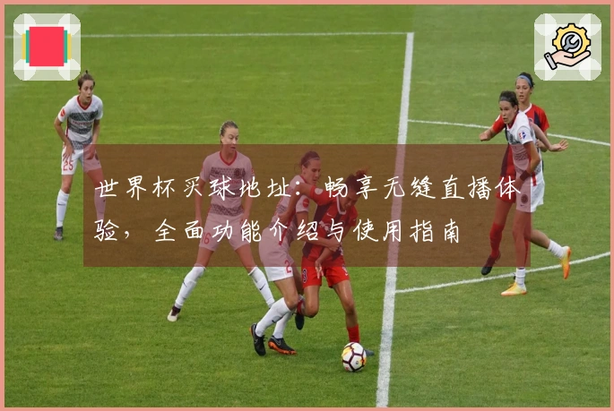 世界杯买球地址：畅享无缝直播体验，全面功能介绍与使用指南