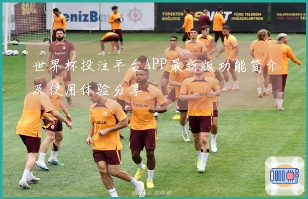 世界杯投注平台APP最新版功能简介及使用体验分享