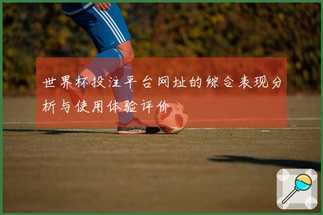 世界杯投注平台网址的综合表现分析与使用体验评价