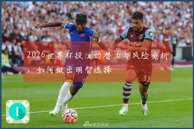 2026世界杯投注的潜力与风险分析，如何做出明智选择