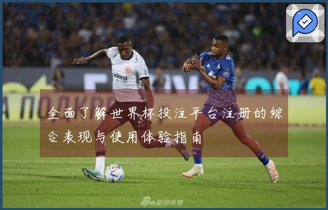 全面了解世界杯投注平台注册的综合表现与使用体验指南