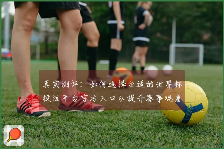真实测评：如何选择合适的世界杯投注平台官方入口以提升赛事观看体验