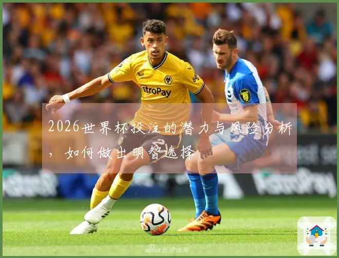 2026世界杯投注的潜力与风险分析，如何做出明智选择