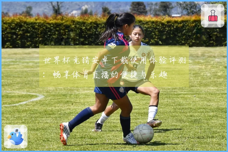 世界杯竞猜安卓下载使用体验评测：畅享体育直播的便捷与乐趣