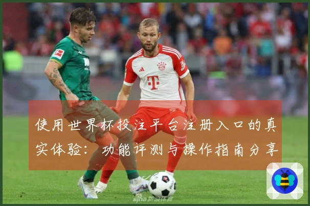 使用世界杯投注平台注册入口的真实体验：功能评测与操作指南分享