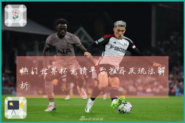 热门世界杯竞猜平台推荐及玩法解析