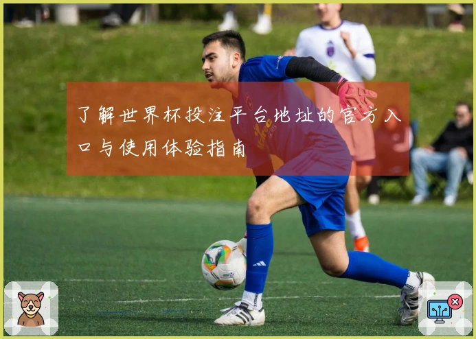 了解世界杯投注平台地址的官方入口与使用体验指南