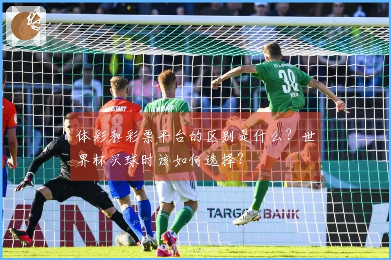 体彩和彩票平台的区别是什么？世界杯买球时该如何选择？