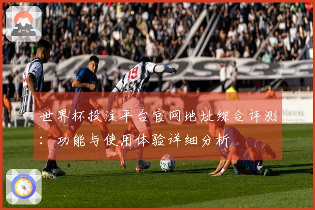 世界杯投注平台官网地址综合评测：功能与使用体验详细分析