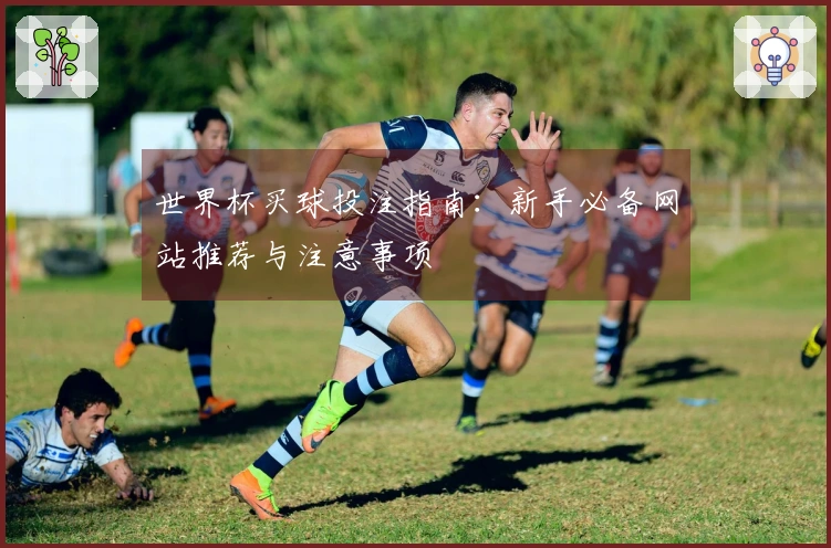 世界杯买球投注指南：新手必备网站推荐与注意事项