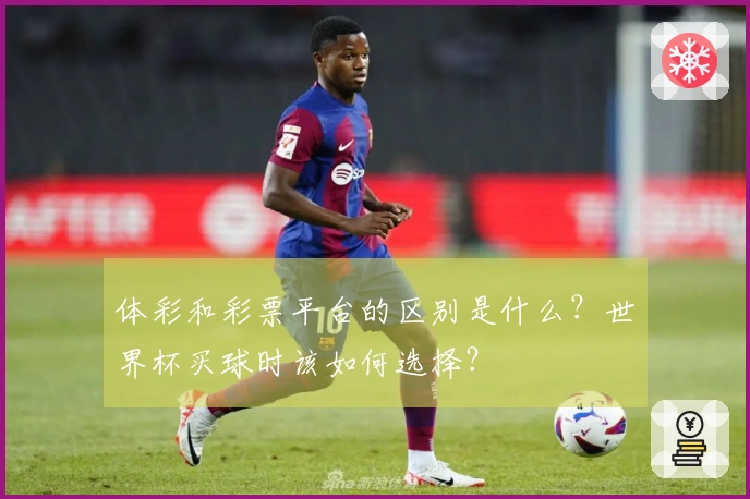 体彩和彩票平台的区别是什么？世界杯买球时该如何选择？